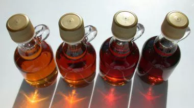 garnishing-instructions-image